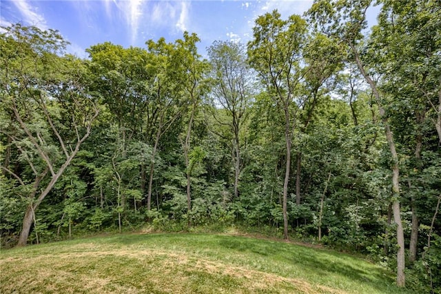 12435 NW Arbor Way, Platte City, MO 64079 - view of woods