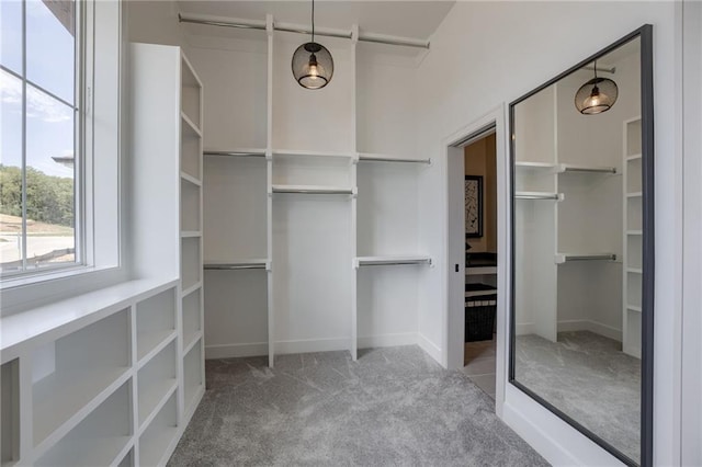 12455 N Arbor Way, Platte City, MO 64079 - spacious closet with carpet floors