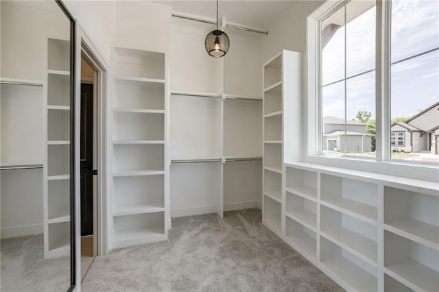 12455 N Arbor Way, Platte City, MO 64079 - walk in closet featuring carpet