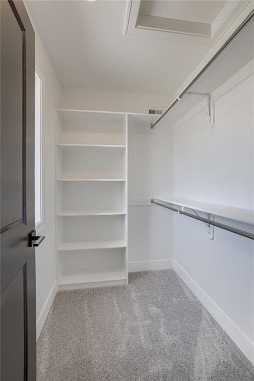 12455 N Arbor Way, Platte City, MO 64079 - walk in closet with light colored carpet