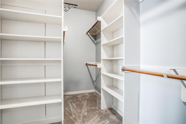 spacious closet with carpet flooring