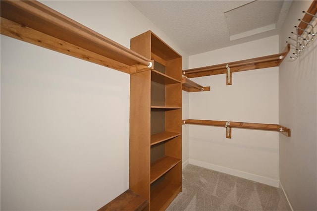 spacious closet featuring carpet flooring