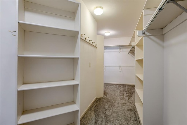 walk in closet featuring carpet flooring