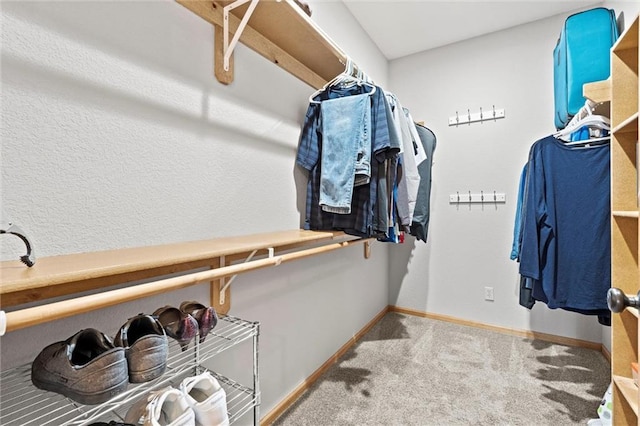 spacious closet with carpet flooring