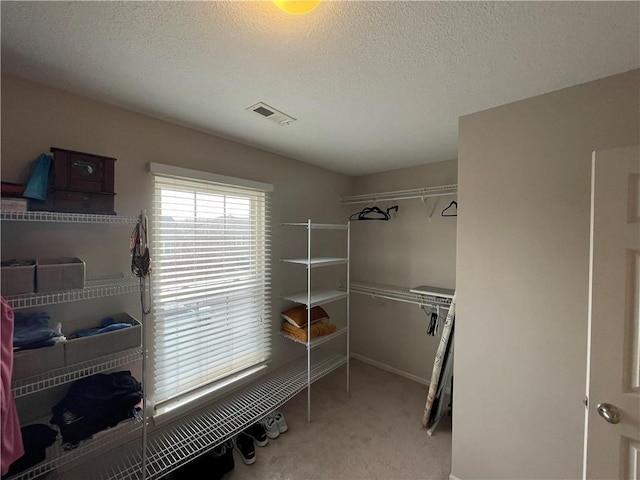 spacious closet featuring visible vents and light carpet