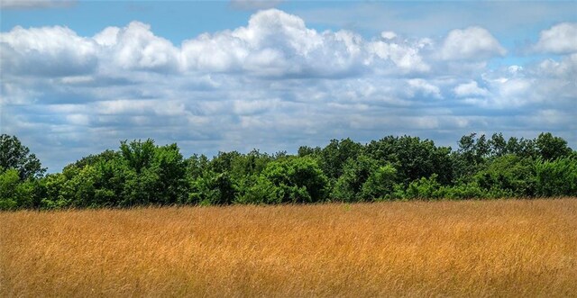 TBD SW 101st Rd, Chilhowee, MO 64733 - photo 19