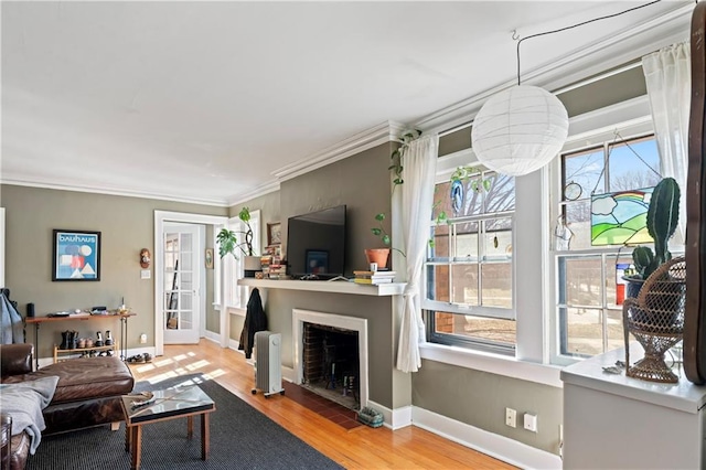 living room featuring a large fireplace, plenty of natural light, baseboards, and wood finished floors