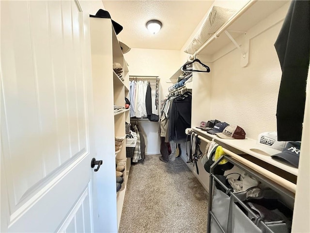 spacious closet featuring carpet