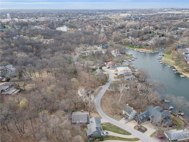 756 NW S Shore Dr, Lake Waukomis, MO 64151 - aerial view of property's location with a nearby body of water and nearby suburban area