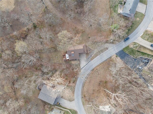 756 NW S Shore Dr, Lake Waukomis, MO 64151 - bird's eye view
