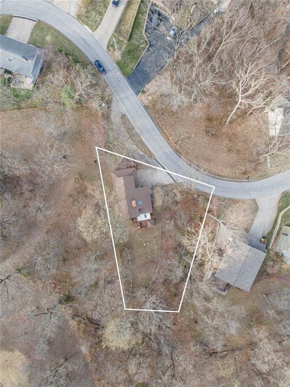 756 NW S Shore Dr, Lake Waukomis, MO 64151 - drone / aerial view
