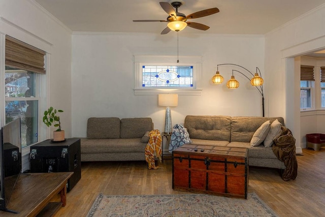 living room with a fireplace, a ceiling fan, crown molding, and wood finished floors