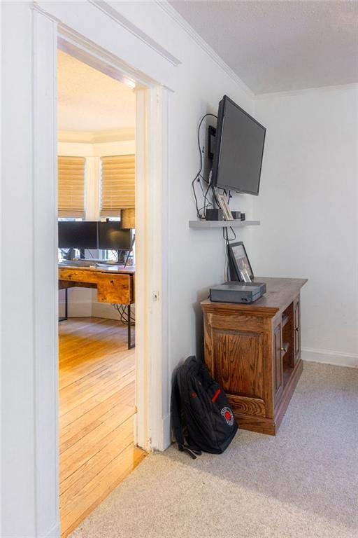 details featuring carpet, crown molding, baseboards, and wood finished floors