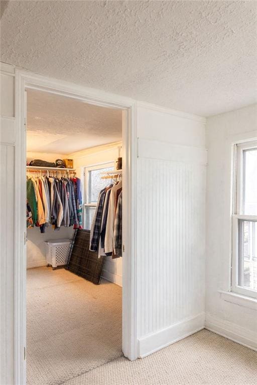 walk in closet featuring carpet floors