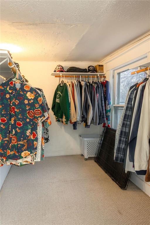 walk in closet featuring carpet