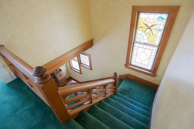 stairs featuring carpet floors