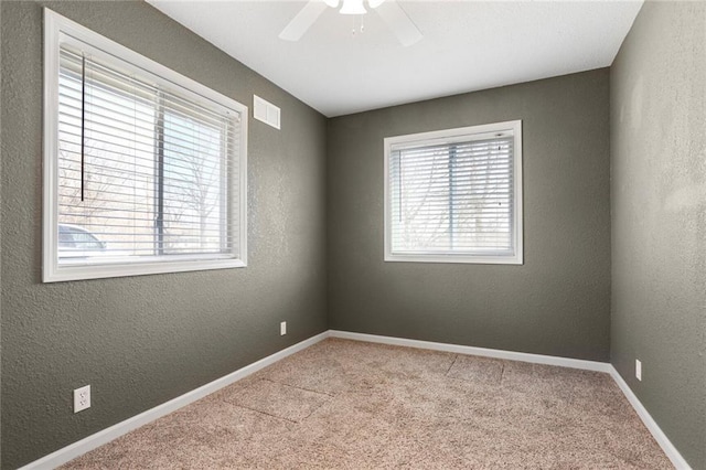 empty room with carpet, a textured wall, and a wealth of natural light