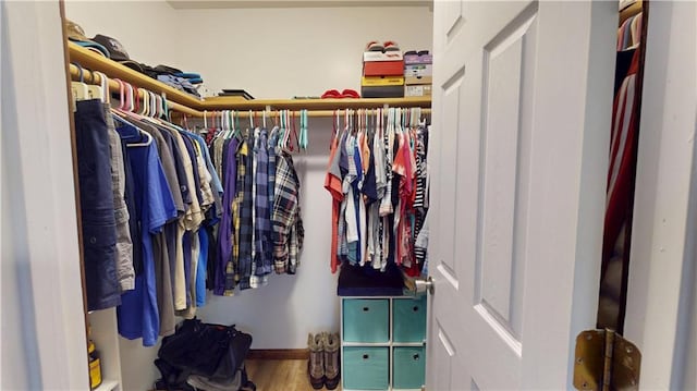 walk in closet featuring wood finished floors