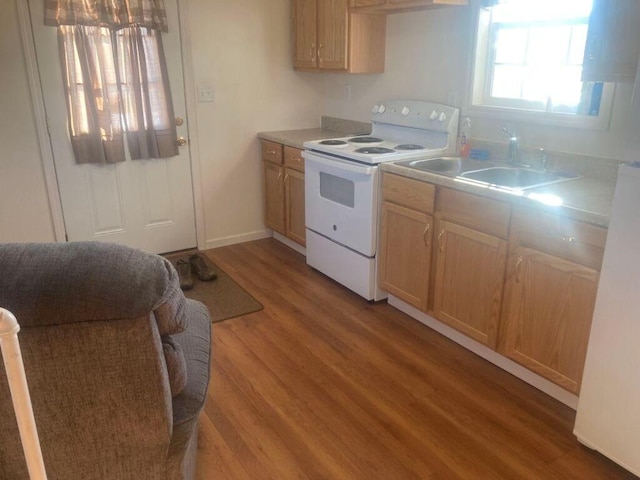 kitchen featuring electric stove, light countertops, light wood-style flooring, light brown cabinetry, and a sink