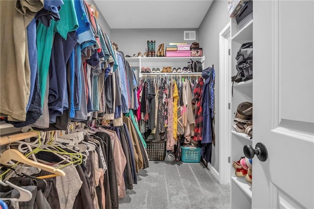 walk in closet featuring carpet and visible vents