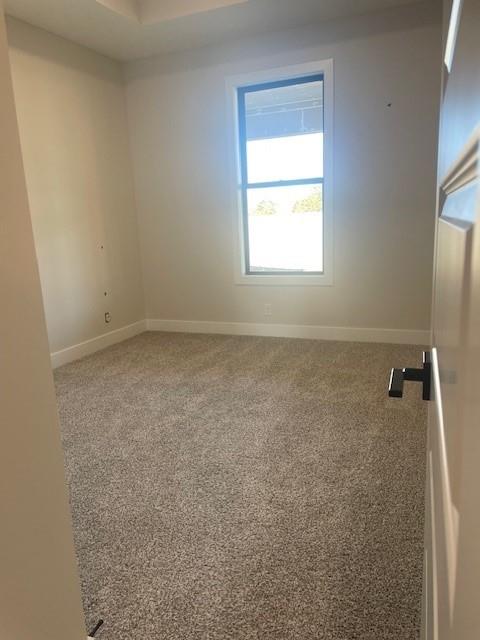 unfurnished room featuring carpet floors and baseboards