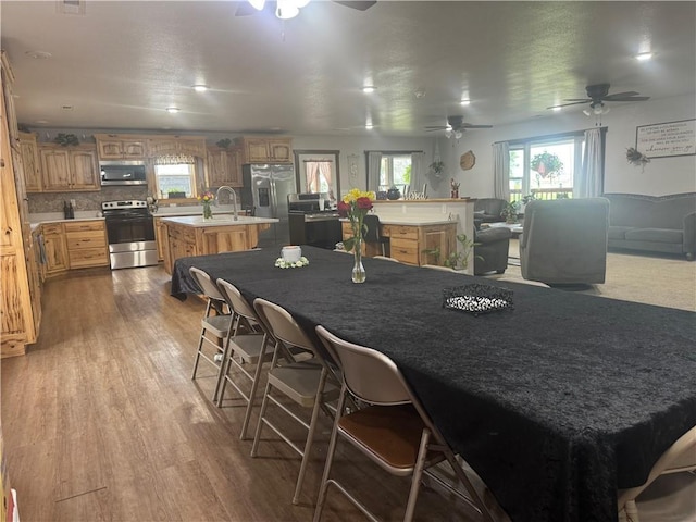 dining room with a wealth of natural light, a ceiling fan, and wood finished floors