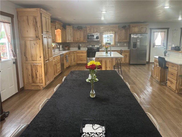 kitchen featuring a wealth of natural light, stainless steel appliances, light wood-type flooring, and a kitchen island with sink