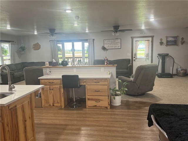 kitchen with an island with sink, a sink, wood finished floors, open floor plan, and light countertops