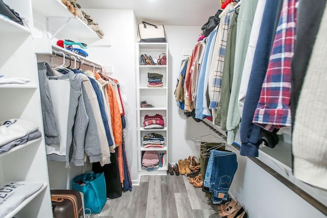 spacious closet featuring wood finished floors