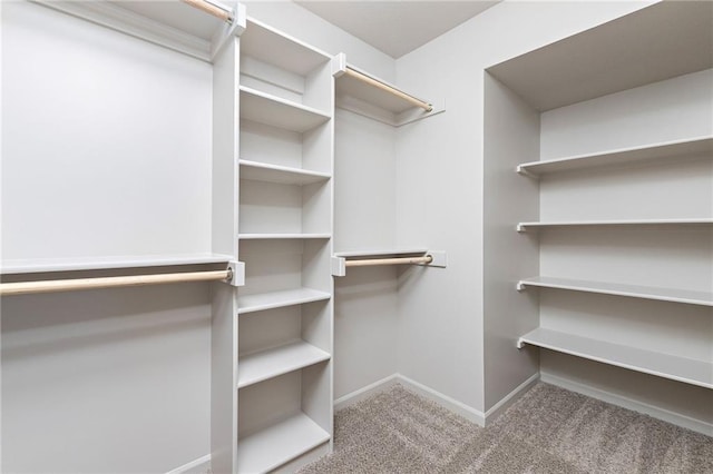 walk in closet with carpet flooring