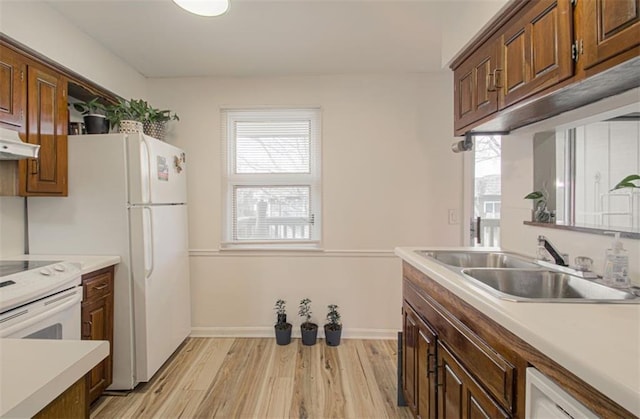 kitchen with light countertops, a sink, light wood-style flooring, and a healthy amount of sunlight