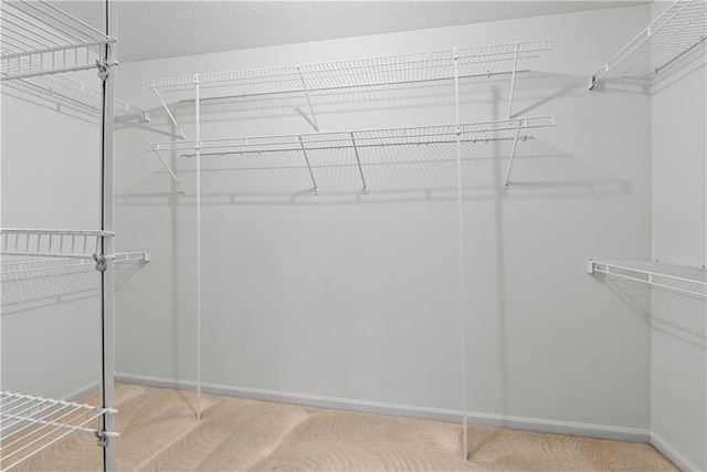 walk in closet featuring carpet