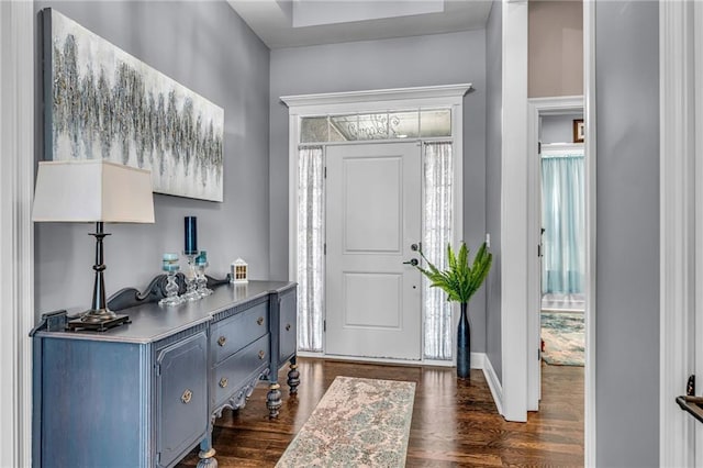 entryway featuring dark wood-type flooring, a wealth of natural light, and baseboards