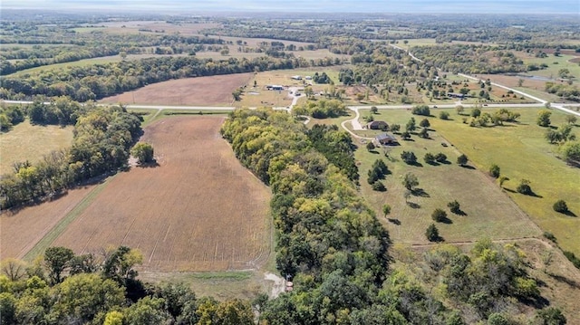 drone / aerial view featuring a rural view