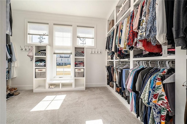 walk in closet with carpet floors