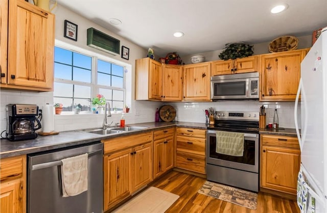 kitchen with dark countertops, dark wood finished floors, stainless steel appliances, and a sink