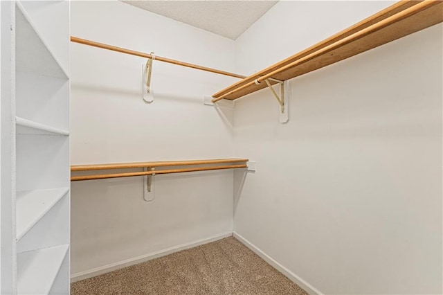 walk in closet featuring carpet flooring