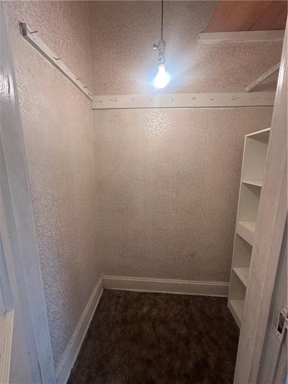 walk in closet with dark colored carpet