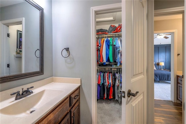 bathroom with wood finished floors, vanity, and a spacious closet