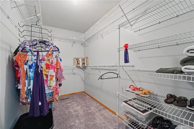 14953 W 124th Ter, Olathe, KS 66062 - spacious closet with carpet
