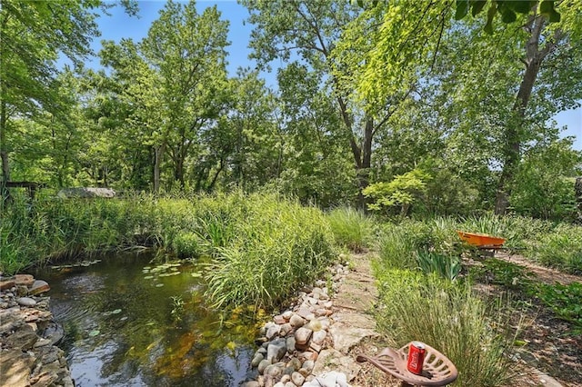 14953 W 124th Ter, Olathe, KS 66062 - view of yard