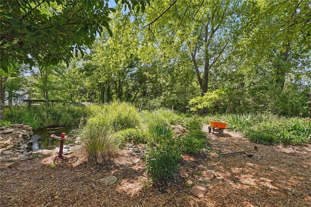 14953 W 124th Ter, Olathe, KS 66062 - view of yard