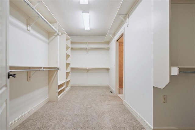 walk in closet featuring carpet