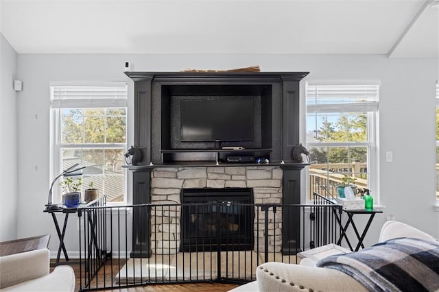 living room with a stone fireplace, wood finished floors, and a healthy amount of sunlight