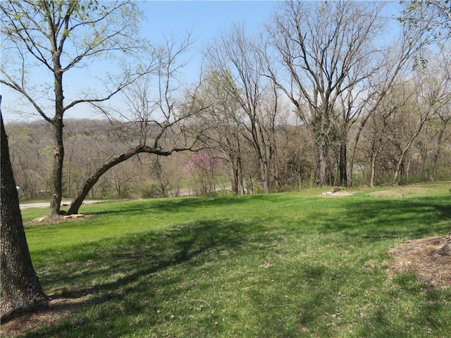 24243 Sandusky Rd, Tonganoxie, KS 66086 - view of green lawn
