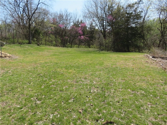 24243 Sandusky Rd, Tonganoxie, KS 66086 - view of green lawn