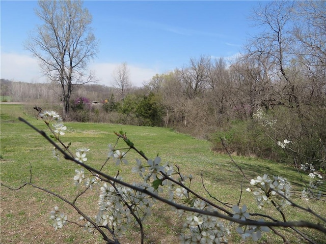 24243 Sandusky Rd, Tonganoxie, KS 66086 - view of green lawn