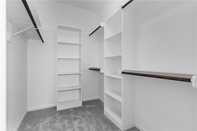 walk in closet with carpet flooring