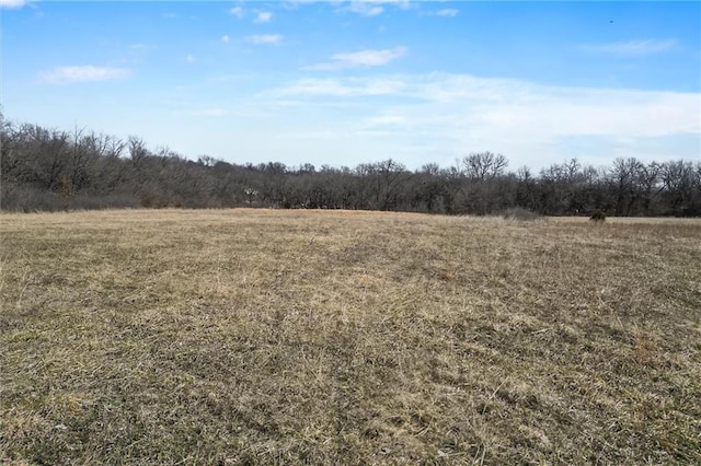 Listing photo 3 for LOT13 Whitetail Rd, Polo MO 64671