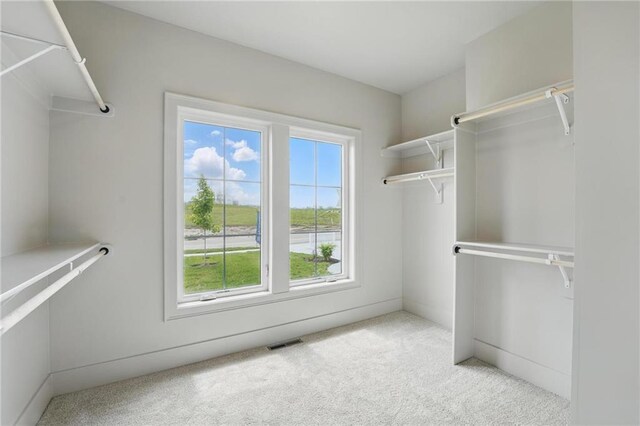 1506 NW 106th Ter, Kansas City, MO 64155 - walk in closet featuring visible vents and carpet